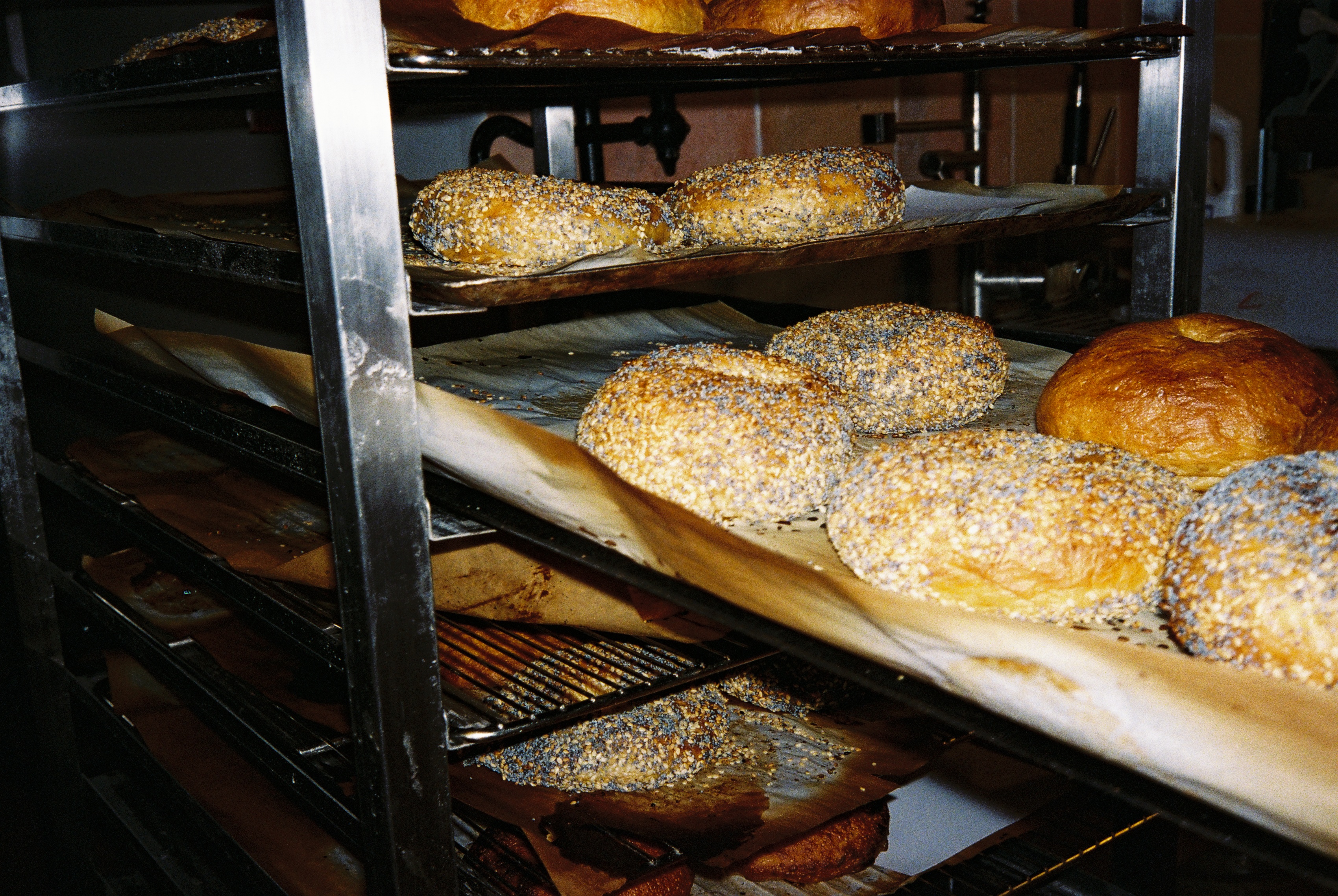 Bagel
